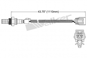 Oxygen Sensor