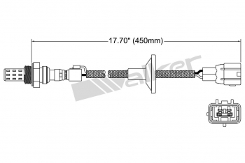 Oxygen Sensor
