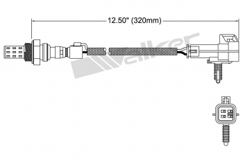 Oxygen Sensor