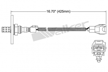 Oxygen Sensor