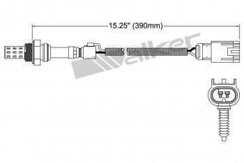 Oxygen Sensor