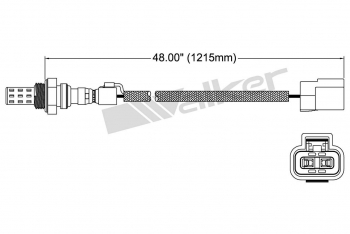 Oxygen Sensor