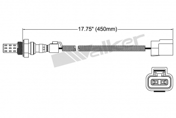 Oxygen Sensor