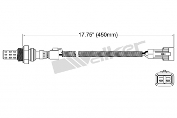 Oxygen Sensor