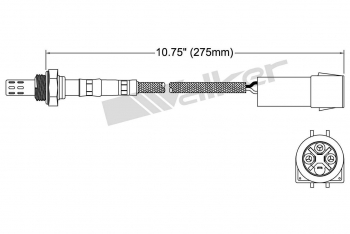 Oxygen Sensor