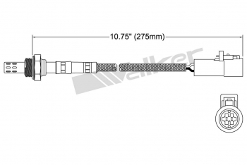 Oxygen Sensor
