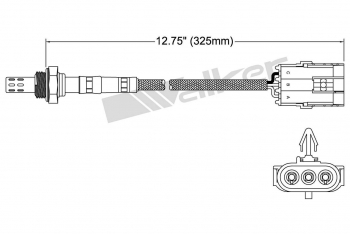 Oxygen Sensor