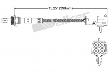 Oxygen Sensor