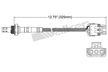 Oxygen Sensor