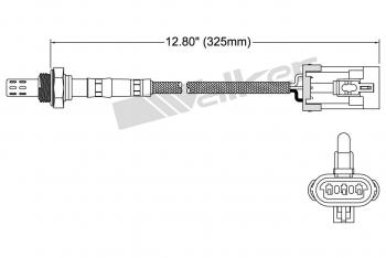 Oxygen Sensor