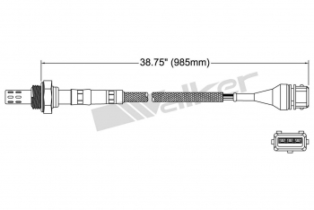 Oxygen Sensor