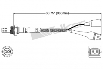 Oxygen Sensor
