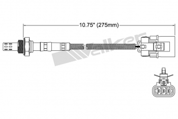 Oxygen Sensor
