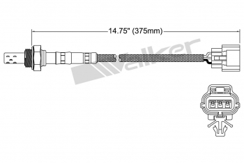 Oxygen Sensor