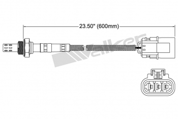 Oxygen Sensor