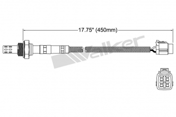Oxygen Sensor