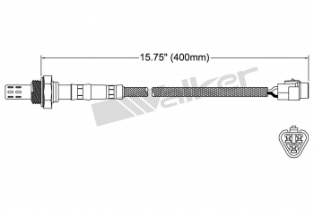 Oxygen Sensor