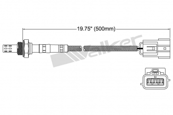 Oxygen Sensor