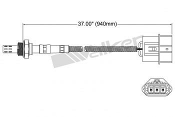 Oxygen Sensor
