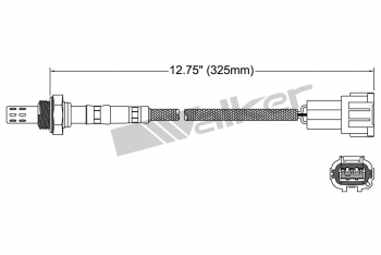 Oxygen Sensor
