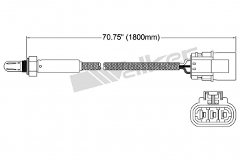 Oxygen Sensor