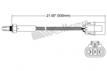 Oxygen Sensor