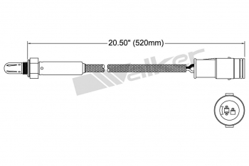 Oxygen Sensor