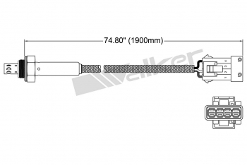 Oxygen Sensor
