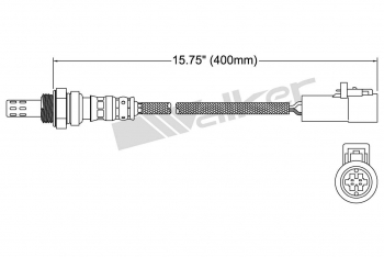 Oxygen Sensor
