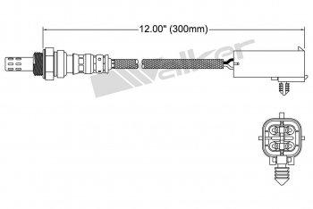 Oxygen Sensor