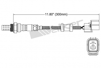 Oxygen Sensor