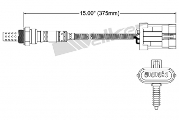 Oxygen Sensor