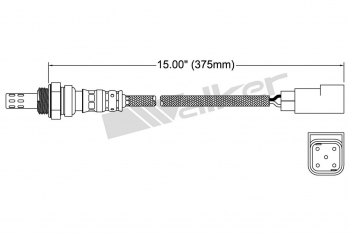 Oxygen Sensor