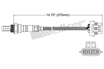 Oxygen Sensor
