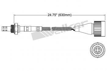 Oxygen Sensor