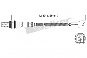 Oxygen Sensor