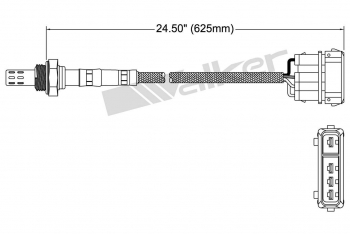 Oxygen Sensor