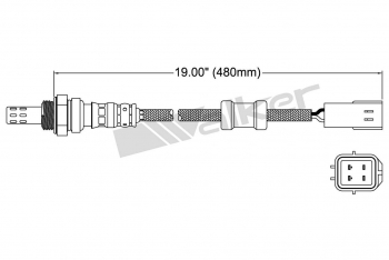Oxygen Sensor