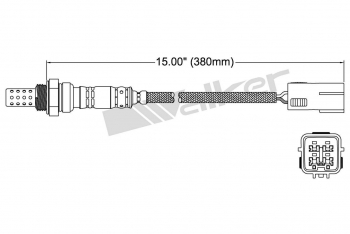 Oxygen Sensor
