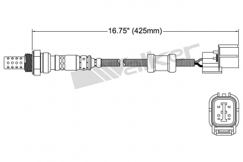 Oxygen Sensor