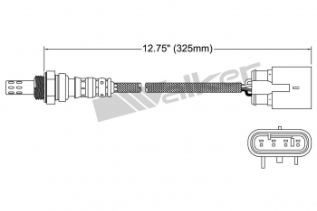 Oxygen Sensor