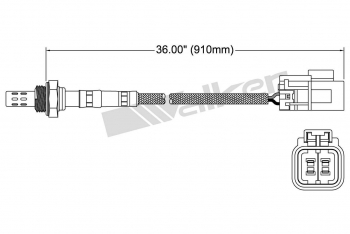 Oxygen Sensor