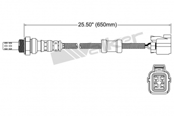 Oxygen Sensor