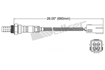 Oxygen Sensor