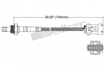 Oxygen Sensor