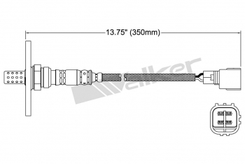 Oxygen Sensor