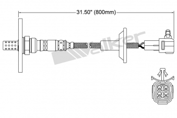 Oxygen Sensor