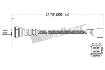 Oxygen Sensor
