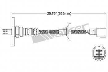 Oxygen Sensor
