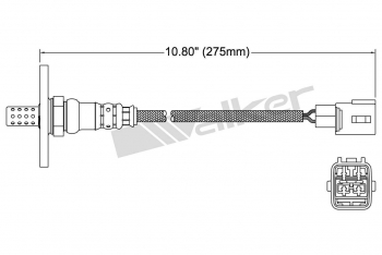 Oxygen Sensor